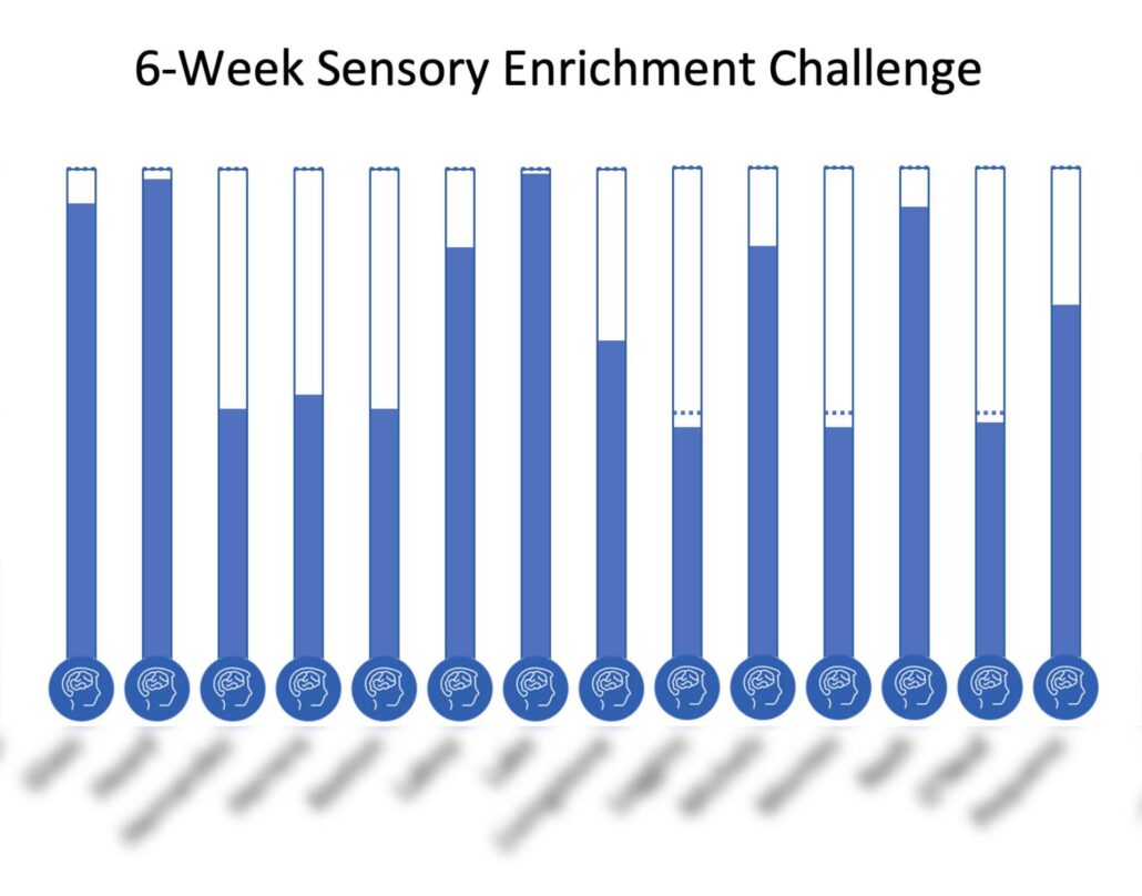 6-Week Challenge Thermometers
