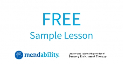 Free Sample Lesson Sensory Enrichment Therapy