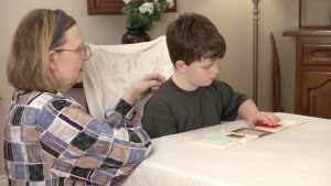 Sample Sensory Enrichment Game with Mendability0046