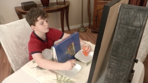 Sample Sensory Enrichment Game with Mendability467
