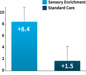 Sensory enrichment improvements in cognitive function